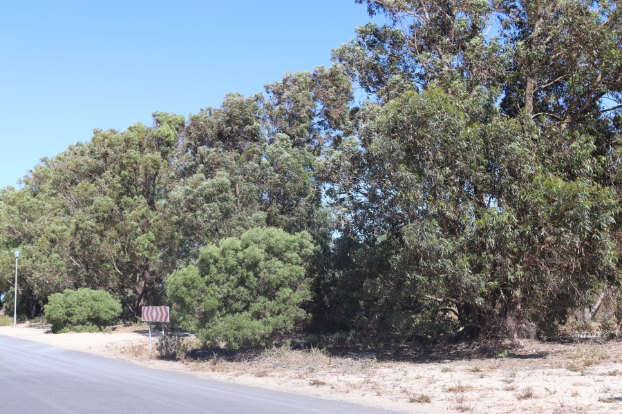 0 Bedroom Property for Sale in Brittania Beach Estate Western Cape